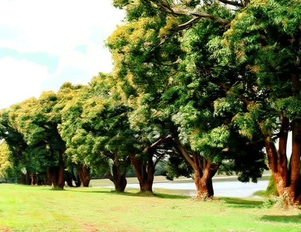 Invest In Zuri Springs, Juja!
