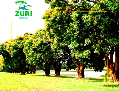 Invest In Zuri Springs, Juja! - Image 5