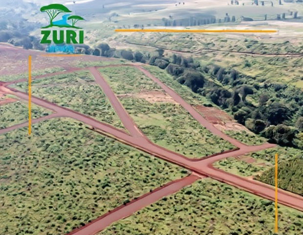 Invest In Zuri Springs, Juja!