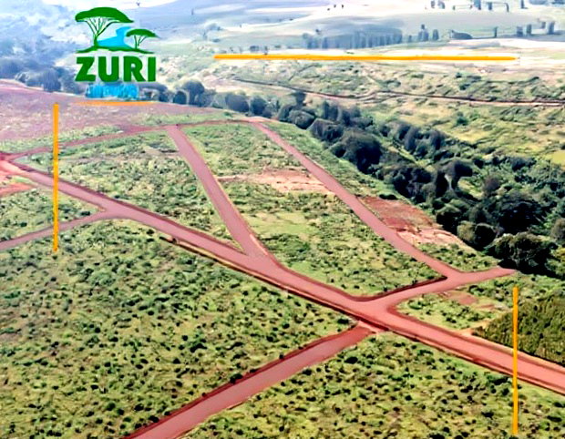 Invest In Zuri Springs, Juja!