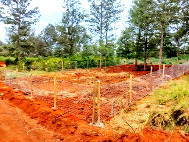 Invest In Zuri Springs, Juja!