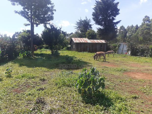 Quarter Acre 100 by 100 Plot on Sale in Rironi Chunga Mali Near Tilisi