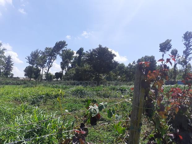 Quarter Acre 100 by 100 Plot on Sale in Rironi Chunga Mali Near Tilisi