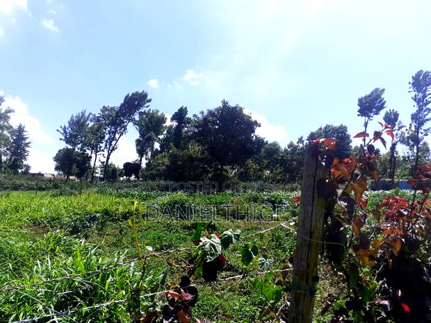 Quarter Acre 100 by 100 Plot on Sale in Rironi Chunga Mali Near Tilisi