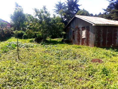 Quarter Acre 100 by 100 Plot on Sale in Rironi Chunga Mali Near Tilisi - Image 1