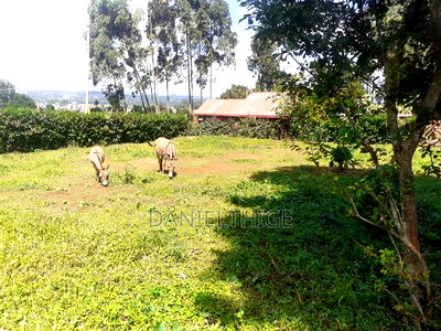 Quarter Acre 100 by 100 Plot on Sale in Rironi Chunga Mali Near Tilisi - Image 9