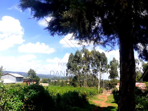 Quarter Acre 100 by 100 Plot on Sale in Rironi Chunga Mali Near Tilisi