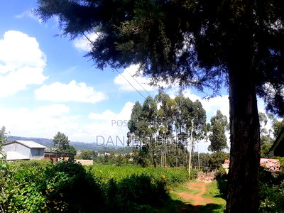 Quarter Acre 100 by 100 Plot on Sale in Rironi Chunga Mali Near Tilisi - Image 4