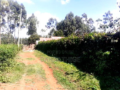 Quarter Acre 100 by 100 Plot on Sale in Rironi Chunga Mali Near Tilisi - Image 3