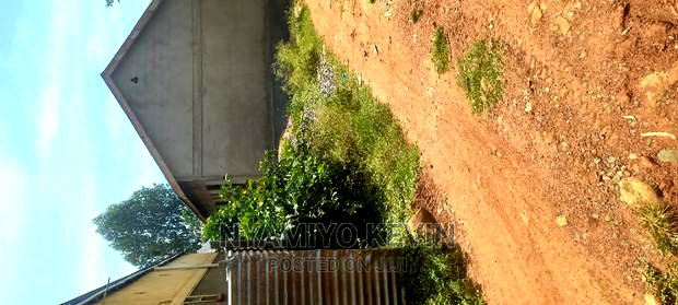 Medula Academy Bondo