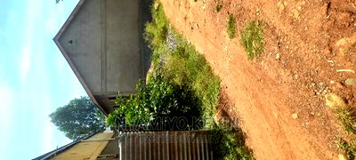 Medula Academy Bondo - Image 2