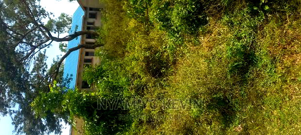 Medula Academy Bondo