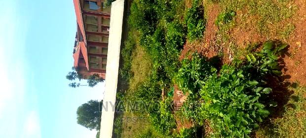 Medula Academy Bondo