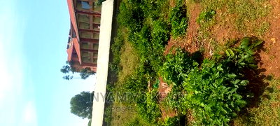 Medula Academy Bondo - Image 1