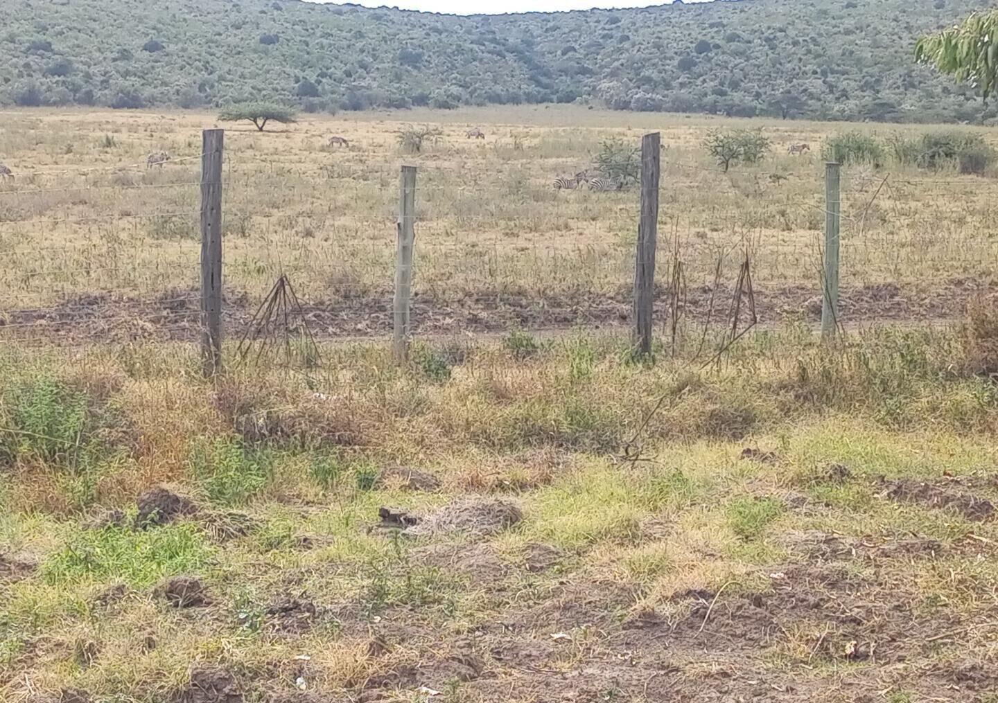2-Acre Plot near Lake Nakuru National Park