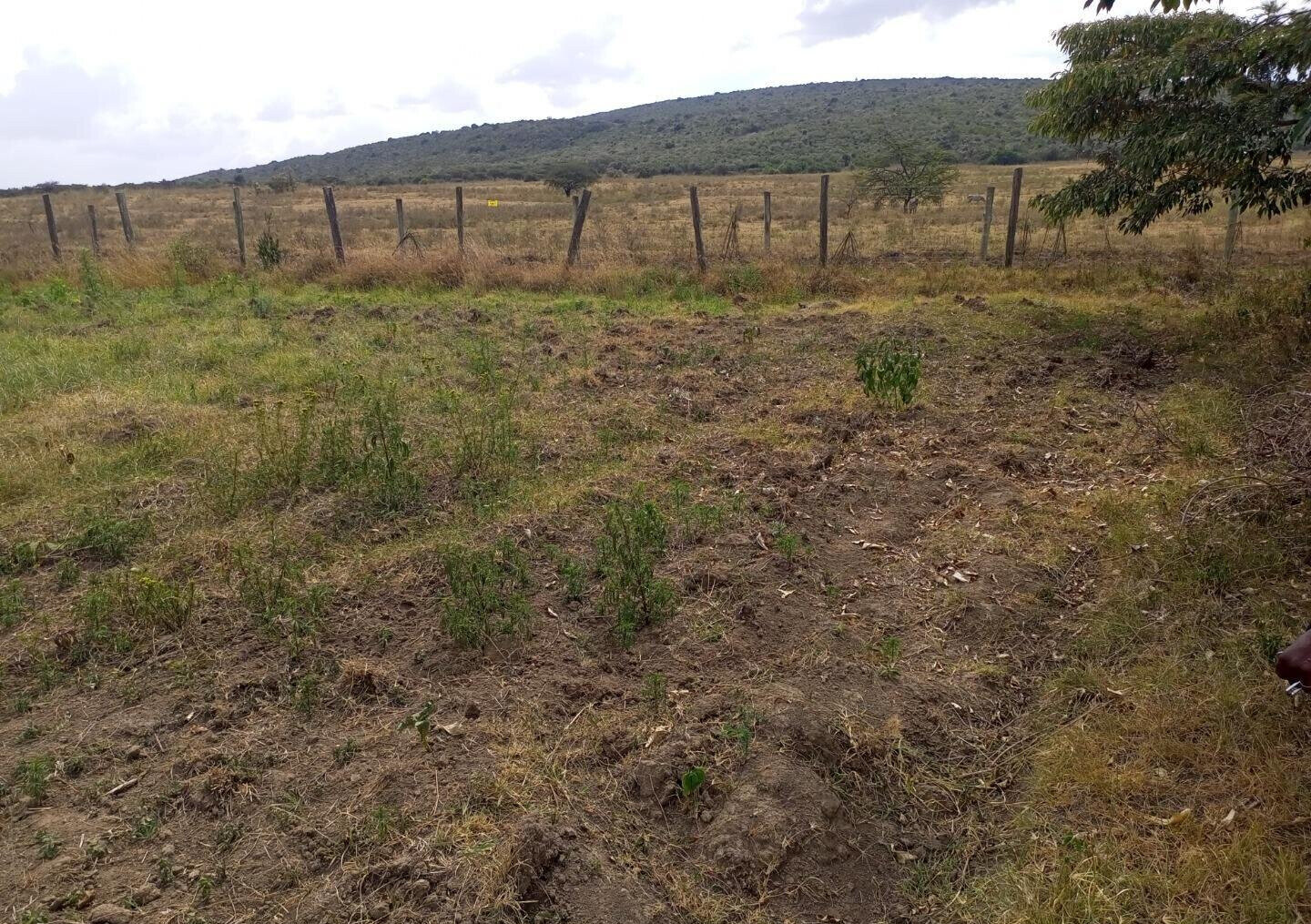 2-Acre Plot near Lake Nakuru National Park