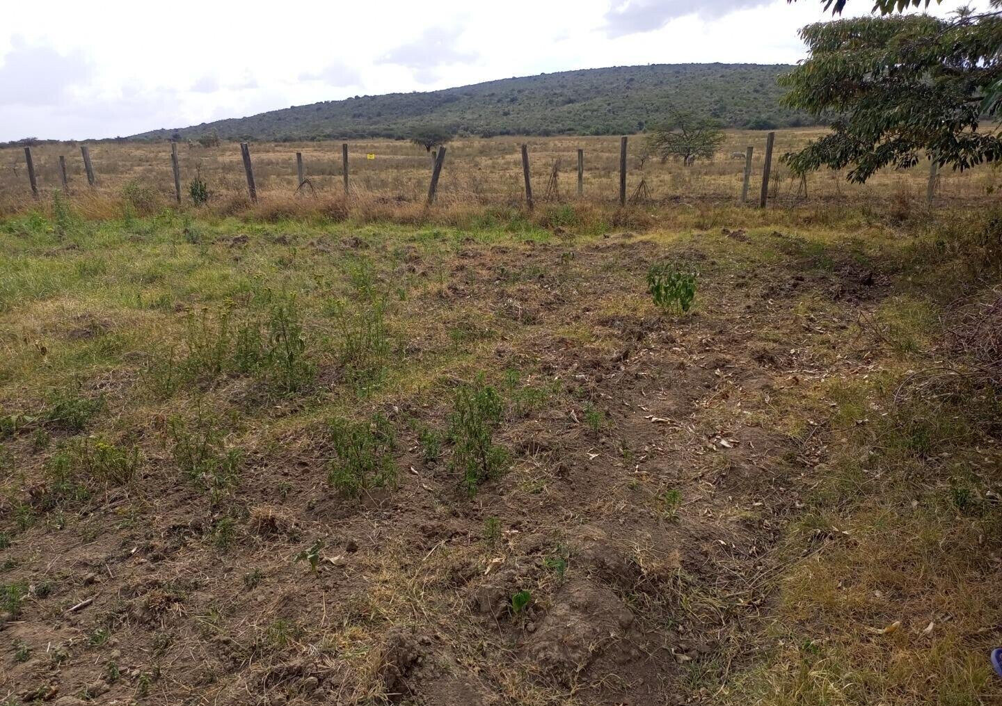 2-Acre Plot near Lake Nakuru National Park