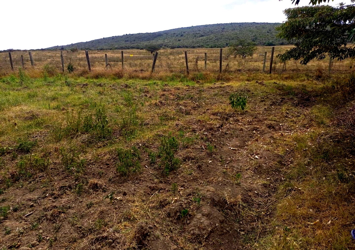 2-Acre Plot near Lake Nakuru National Park