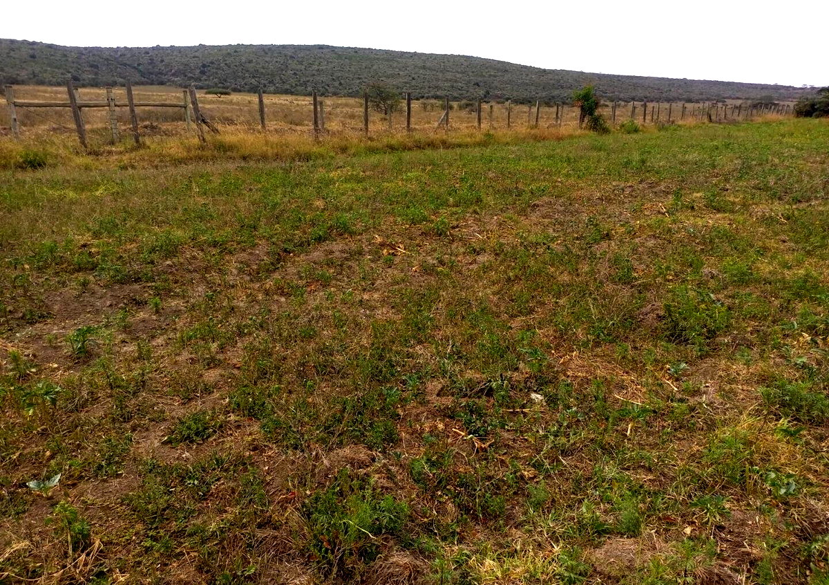 2-Acre Plot near Lake Nakuru National Park
