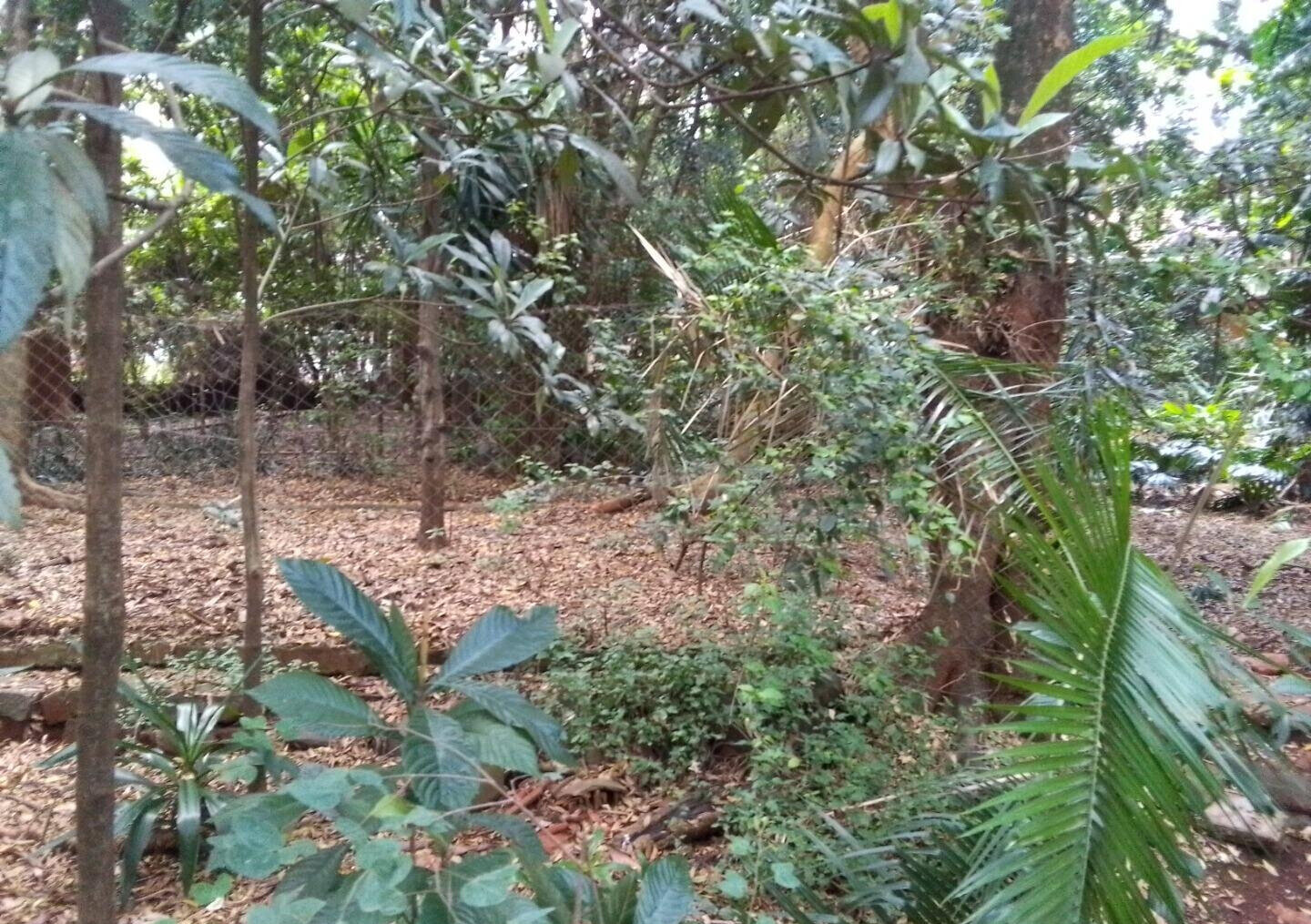 3/4 Acre Kilimani Land at KSh 270M
