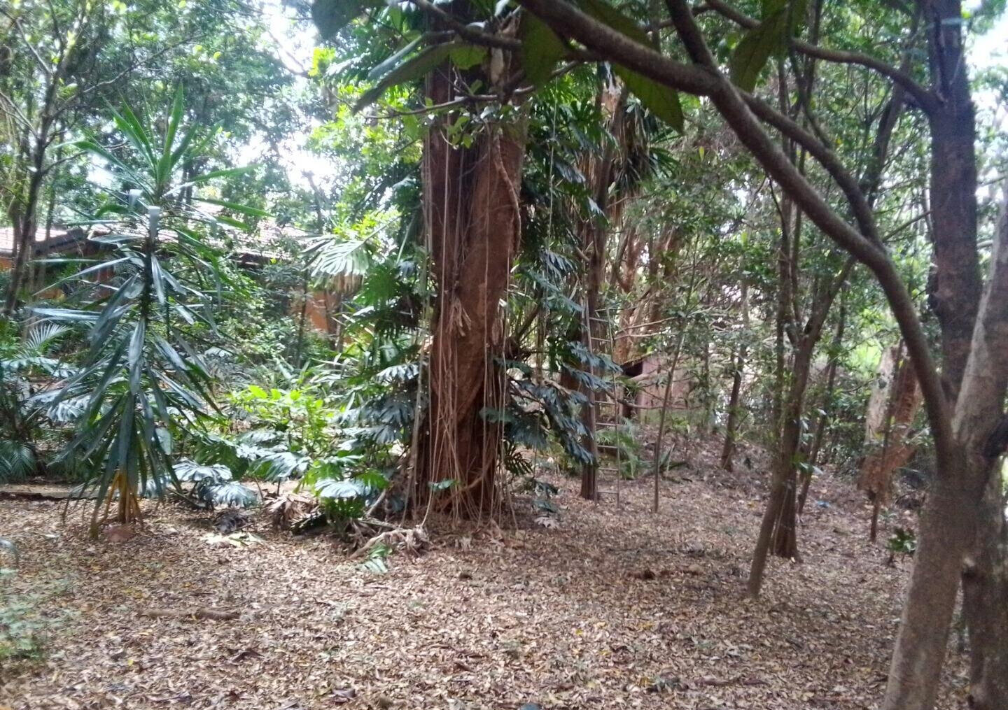 3/4 Acre Kilimani Land at KSh 270M