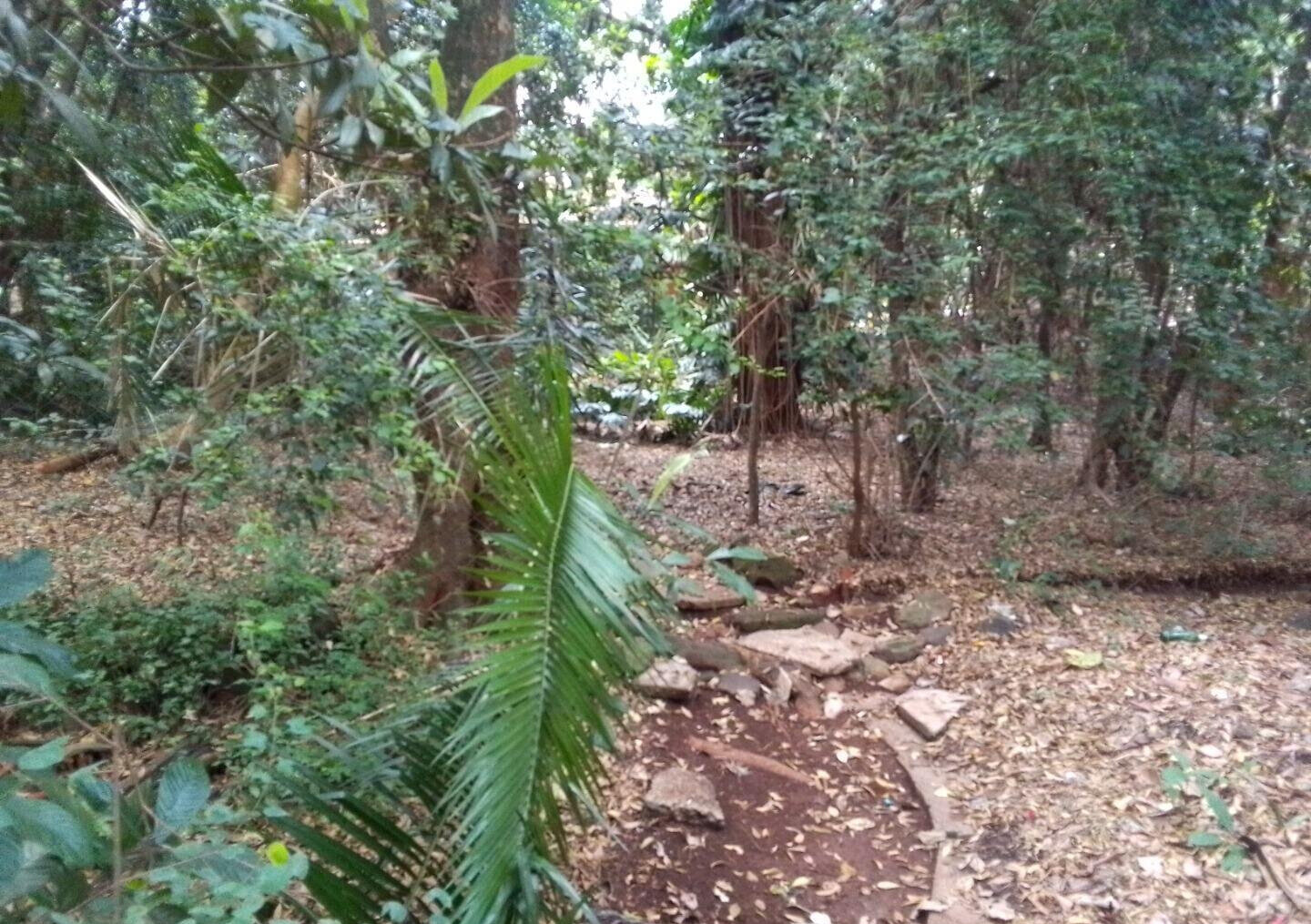 3/4 Acre Kilimani Land at KSh 270M