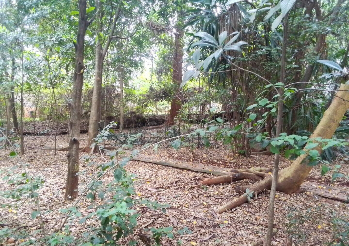 3/4 Acre Kilimani Land at KSh 270M