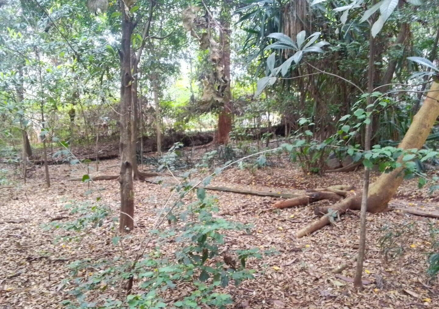 3/4 Acre Kilimani Land at KSh 270M