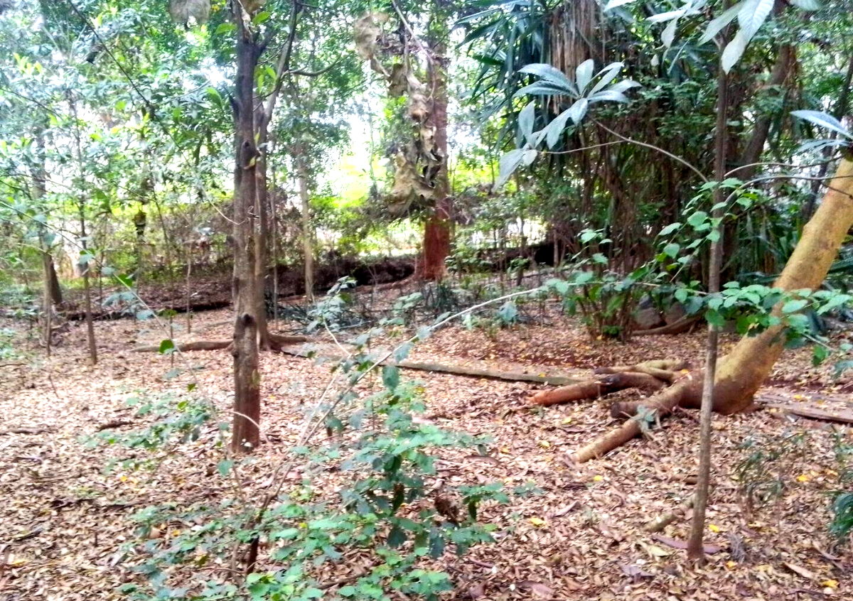 3/4 Acre Kilimani Land at KSh 270M