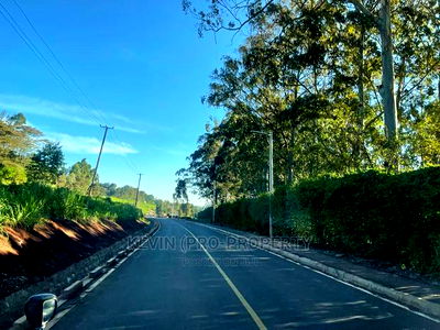 Commercial Plot for Sale in Zambezi, Nderi. - Image 6