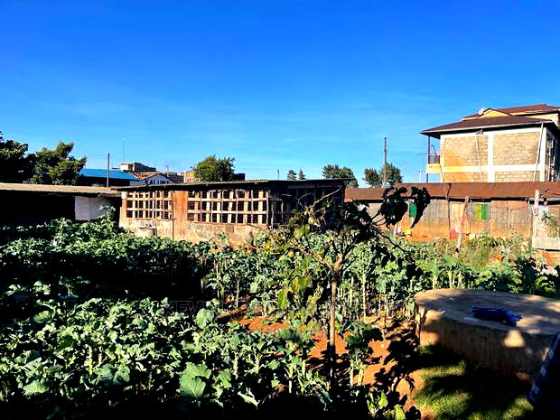 Commercial Plot for Sale in Zambezi, Nderi.