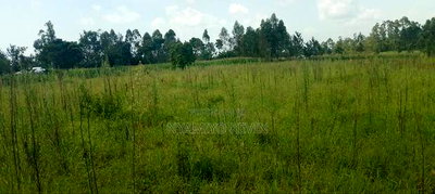 Alego Matera - Image 1