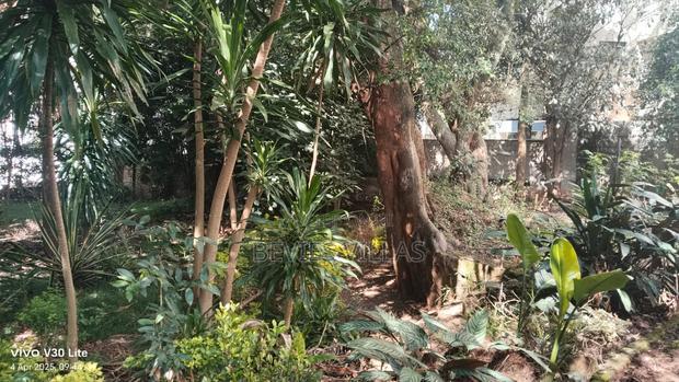 A Half Acre Commercial Land for Sale in Weslands