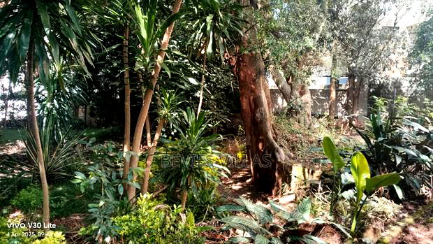 A Half Acre Commercial Land for Sale in Weslands