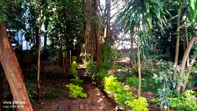 A Half Acre Commercial Land for Sale in Weslands - Image 4