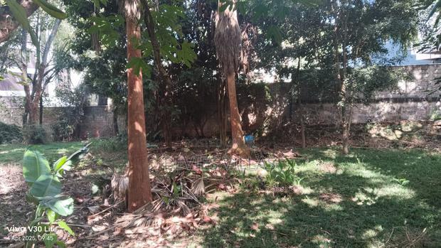 A Half Acre Commercial Land for Sale in Weslands