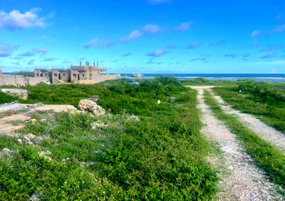 1/8 Acre Coral Beach Plot