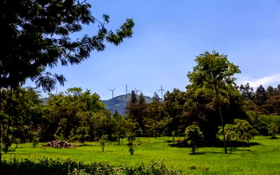 Quarter Acre Plot for KSh 7.5M