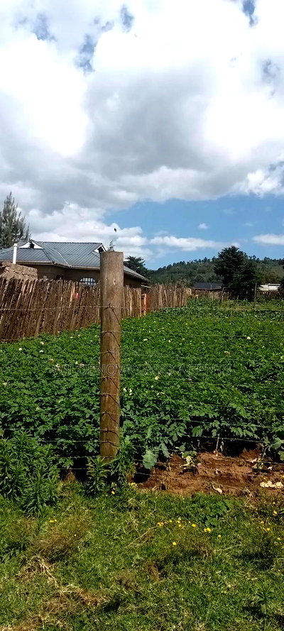 Plot With a House on Sale at Kinungi Naivasha - Image 7