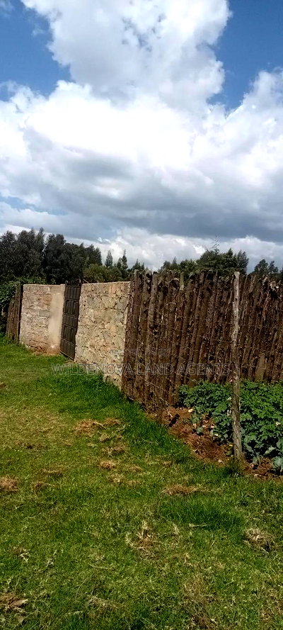 Plot With a House on Sale at Kinungi Naivasha - Image 6