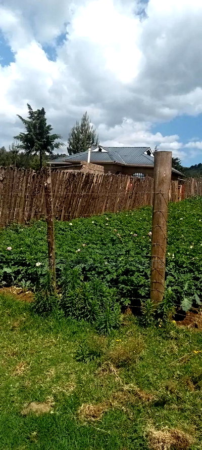 Plot With a House on Sale at Kinungi Naivasha - Image 8