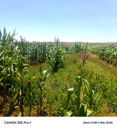 Eka 11 Entonet Loitoktok at 850, 000 Kila Ekali - Image 9