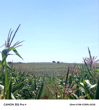 Eka 11 Entonet Loitoktok at 850, 000 Kila Ekali - Image 7