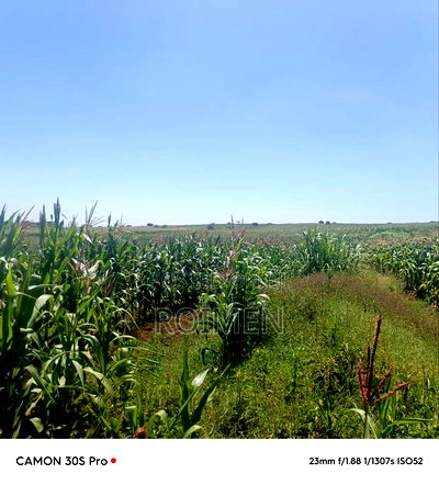 Eka 11 Entonet Loitoktok at 850, 000 Kila Ekali - Image 3