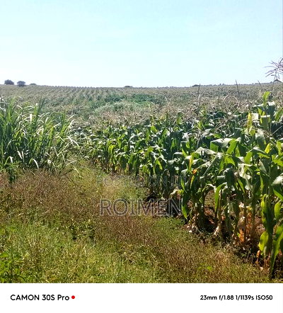 Eka 11 Entonet Loitoktok at 850, 000 Kila Ekali - Image 5