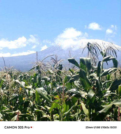 Eka 11 Entonet Loitoktok at 850, 000 Kila Ekali - Image 8