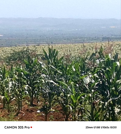 Eka 11 Entonet Loitoktok at 850, 000 Kila Ekali - Image 1