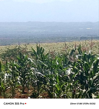 Eka 11 Entonet Loitoktok at 850, 000 Kila Ekali - Image 2