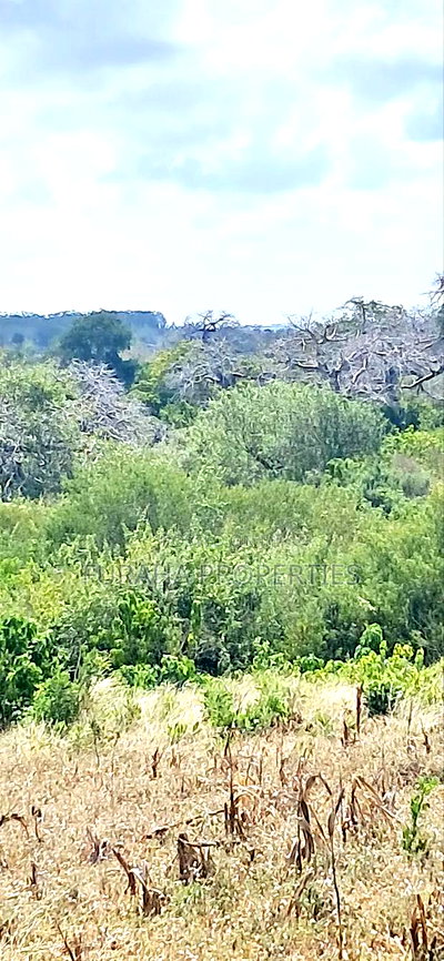 For Sale 180 Acres Kilifi. - Image 1