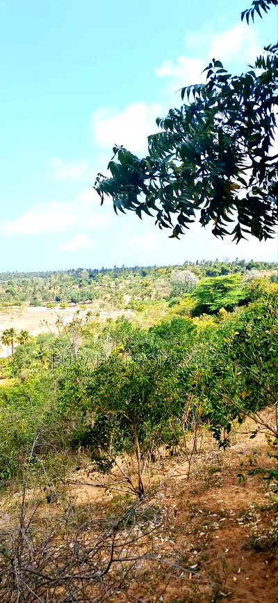 For Sale 180 Acres Kilifi. - Image 5
